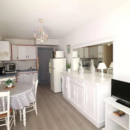2 Pieces, 4 Couchages, Parking Privatif, A 100m De La Et Des Commerces - Fr-1-307-48 *