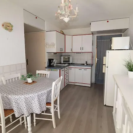 2 Pieces, 4 Couchages, Parking Privatif, A 100m De La Et Des Commerces - Fr-1-307-48 * Le Grau-du-Roi