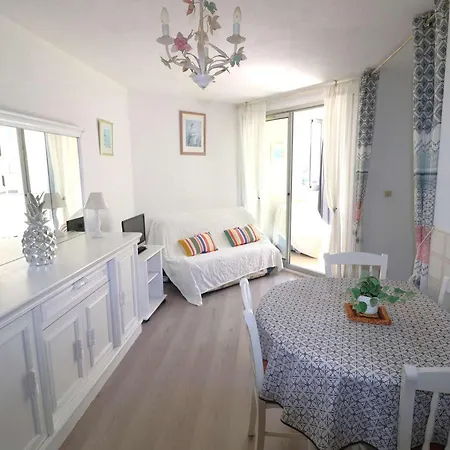Διαμέρισμα 2 Pieces, 4 Couchages, Parking Privatif, A 100m De La Et Des Commerces - Fr-1-307-48